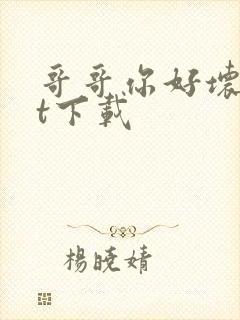 哥哥你好坏txt下载