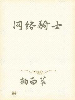 网络骑士