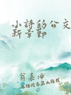 小诗的公交车最新章节