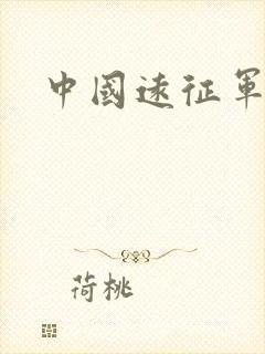 中国远征军小说