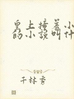 皇上撞着小公主的小说叫什么