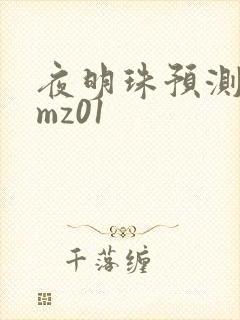 夜明珠预测 ymz01