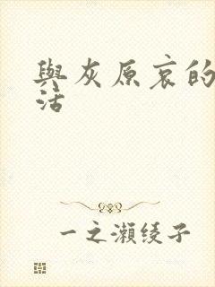 与灰原哀的h生活