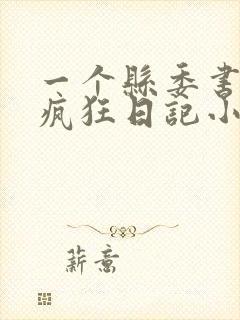 一个县委书记的疯狂日记小说