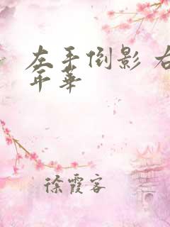 左手倒影 右手年华