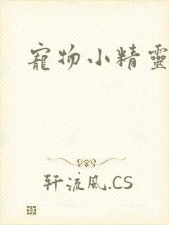 宠物小精灵之梦