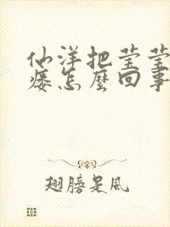 仙洋把莹莹干肛瘘怎么回事