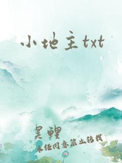 小地主txt