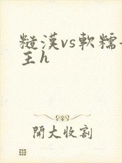 糙汉vs软糯女主h