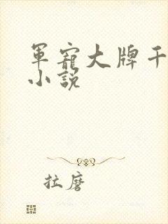 军宠大牌千金 小说