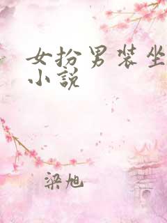 女扮男装坐江山小说