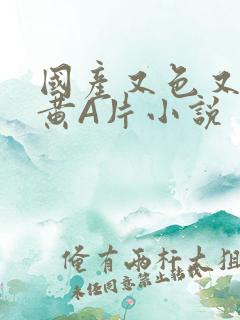 国产又色又爽又黄A片小说