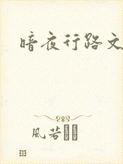 暗夜行路文集