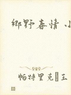 乡野春情 小说