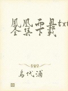 凤凰面具txt全集下载