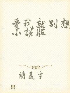 爱我就别想太多小说版