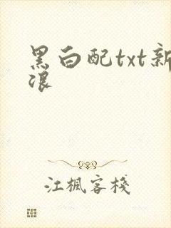 黑白配txt新浪