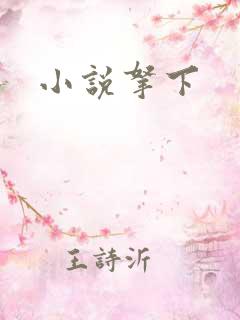 小说拿下