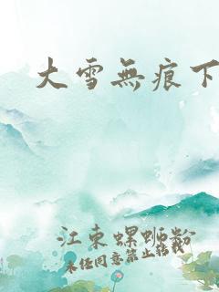 大雪无痕下载
