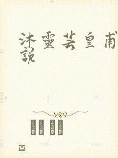 沐灵芸皇甫霆小说