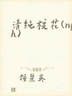 清纯校花(nph)