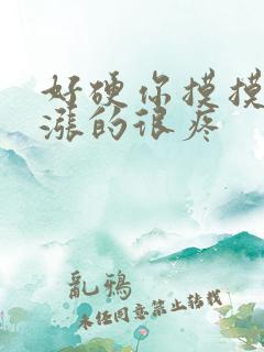 好硬你摸摸下面涨的很疼