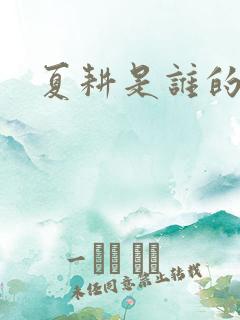 夏耕是谁的女婿