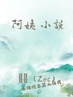 阿姨 小说