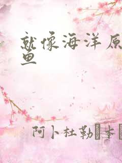 就像海洋原谅了鱼