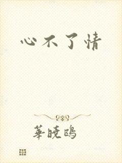 心不了情