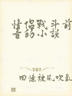 情侣战斗前适合看的小说