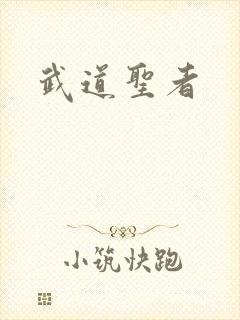武道圣者