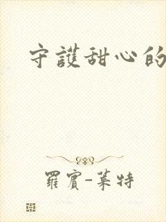 守护甜心的小说