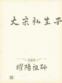 大宋私生子