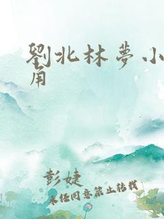 刘北林梦小说主角