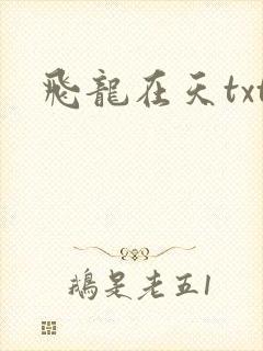 飞龙在天txt