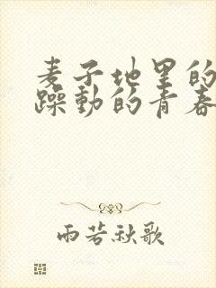 麦子地里的故事躁动的青春小说