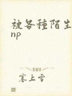 被各种陌生人 np