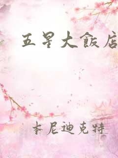 五星大饭店小说