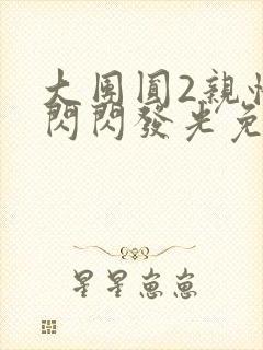 大团圆2亲情会闪闪发光免费