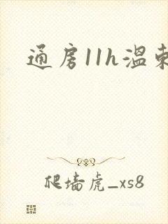通房11h温东
