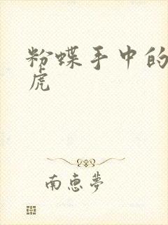 粉蝶手中的纸老虎