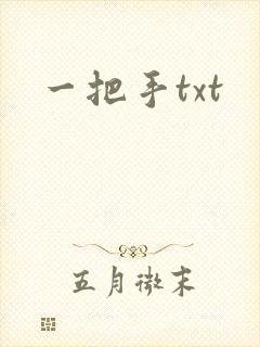 一把手txt
