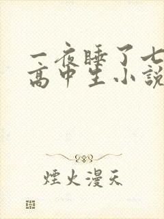 一夜睡了七个女高中生小说h