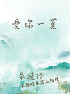 爱你一夏