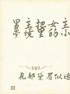 男主把女主拖进梦境里的小说