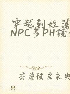 穿越到姓荡游戏NPC多PH镜姬