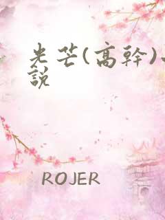 光芒(高干)小说