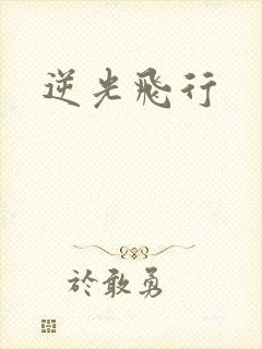 逆光飞行