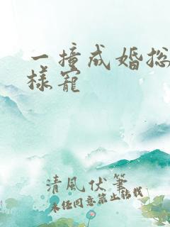 一撞成婚总裁花样宠